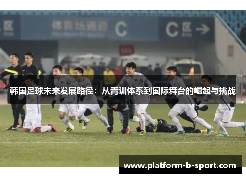 韩国足球未来发展路径:从青训体系到国际舞台的崛起与挑战 韩国足球未来发展路径:从青训体系到国际舞台的崛起与挑战